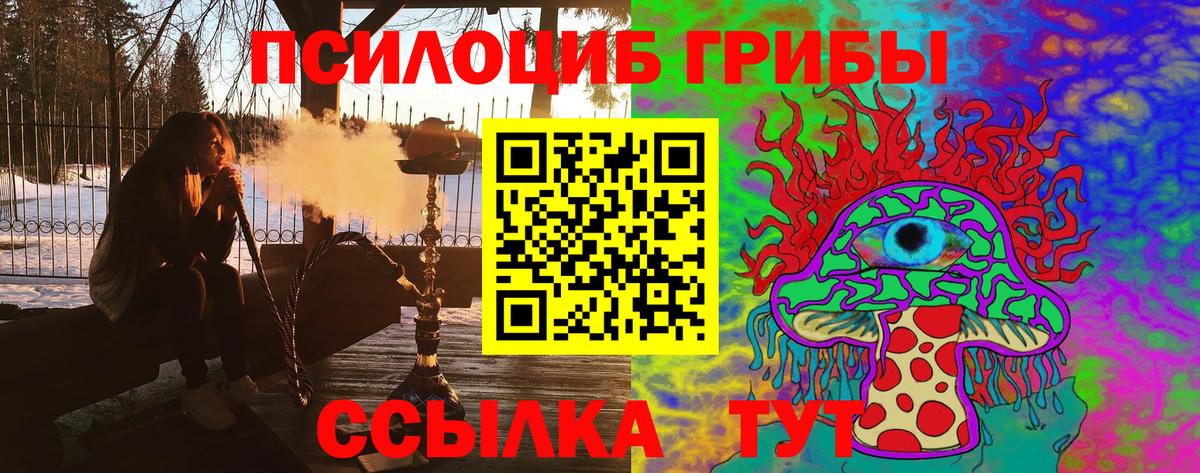Галлюциногенные грибы Psilocybine cubensis Раменское