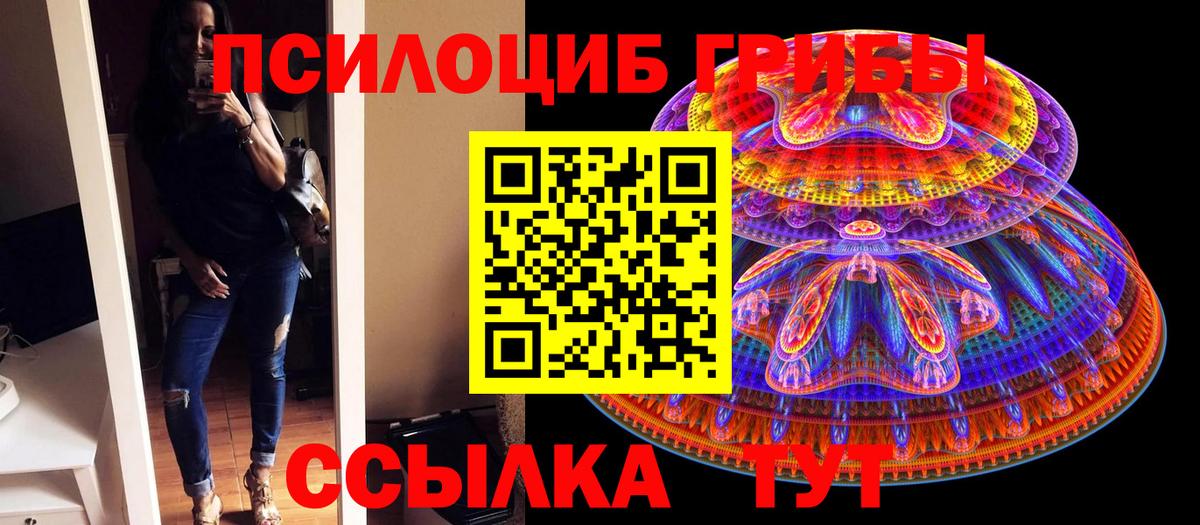 Раменское  Псилоцибиновые грибы ЛСД  Вход с VPN  Псилоцибиновые грибы Cubensis 